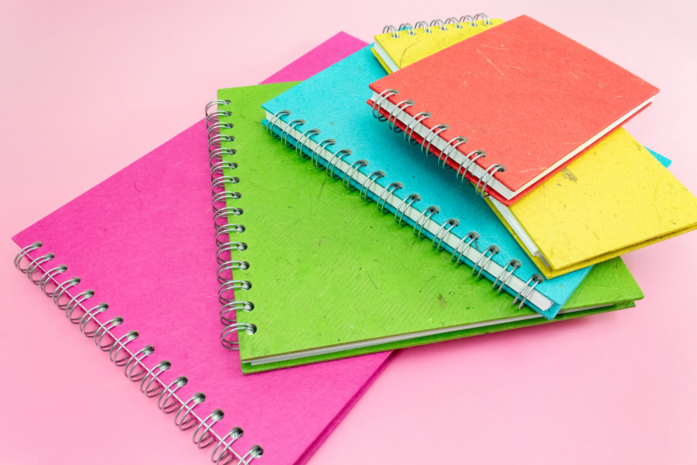 Masterpieces Start With The Pink Pig